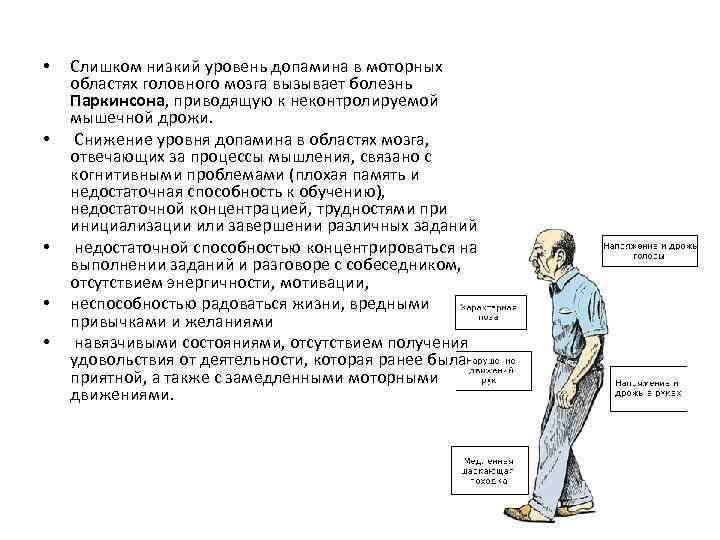  • • • Слишком низкий уровень допамина в моторных областях головного мозга вызывает