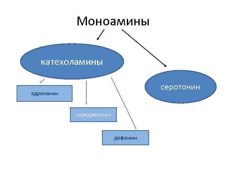 Моноамины катехоламины серотонин адреналин норадреналин дофамин 