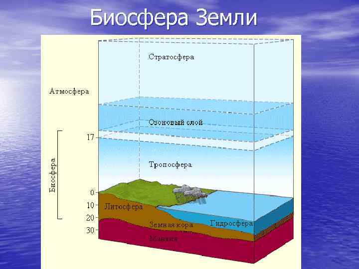 Биосфера Земли 