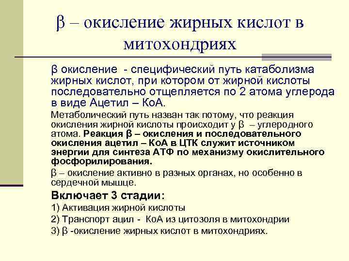 β – окисление жирных кислот в митохондриях β окисление - специфический путь катаболизма жирных