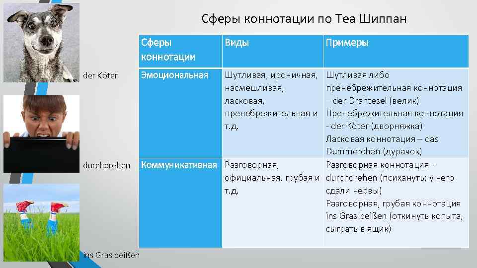 Сферы коннотации по Теа Шиппан Сферы коннотации der Köter durchdrehen ins Gras beißen Виды