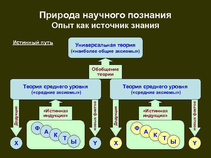 Природа научного познания Опыт как источник знания Истинный путь Универсальная теория ( «наиболее общие
