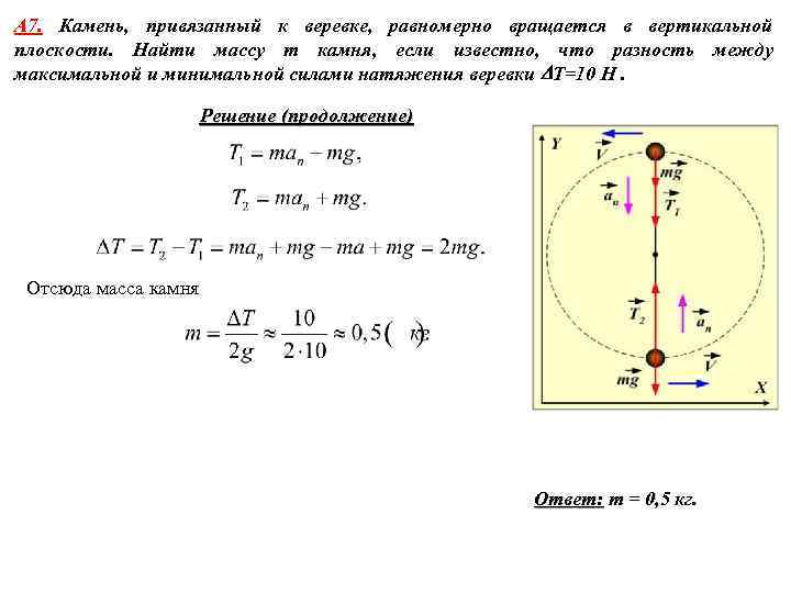 А 7. Камень, привязанный к веревке, равномерно вращается в вертикальной плоскости. Найти массу m