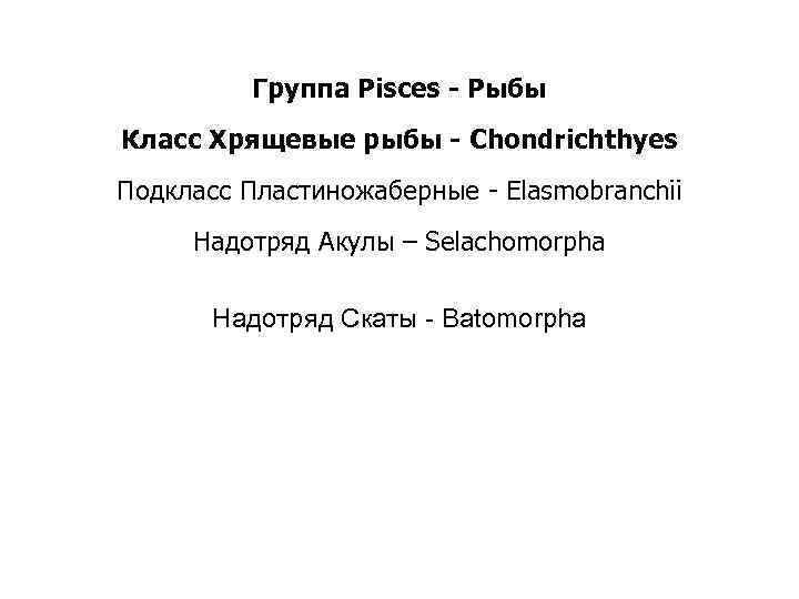 Группа Pisces - Рыбы Класс Хрящевые рыбы - Chondrichthyes Подкласс Пластиножаберные - Elasmobranchii Надотряд