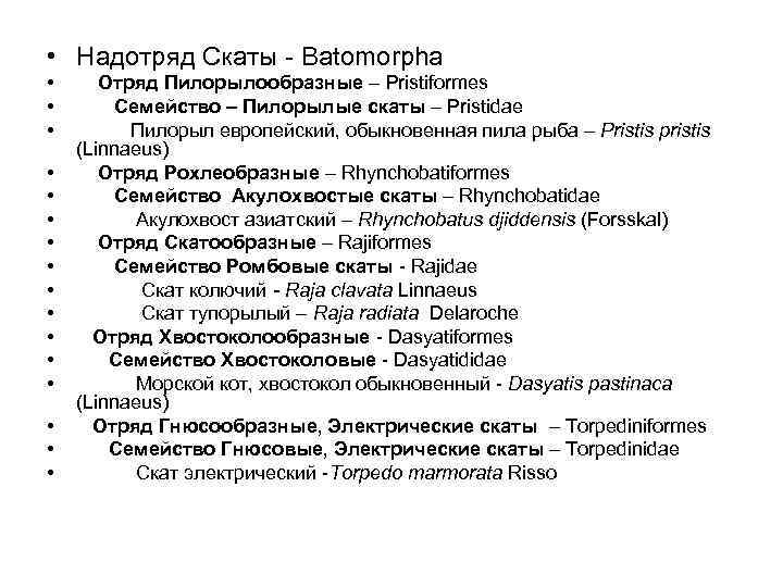  • Надотряд Скаты - Batomorpha • • • • Отряд Пилорылообразные – Pristiformes