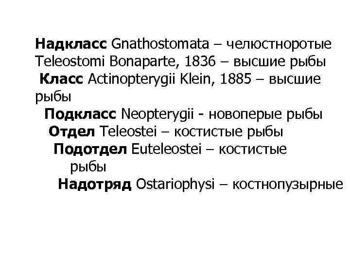 Надкласс Gnathostomata – челюстноротые Teleostomi Bonaparte, 1836 – высшие рыбы Класс Actinopterygii Klein, 1885