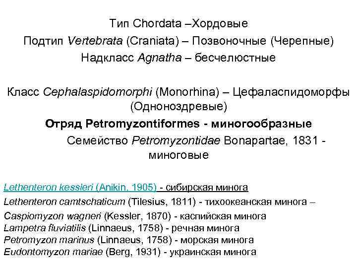 Тип Chordata –Хордовые Подтип Vertebrata (Craniata) – Позвоночные (Черепные) Надкласс Agnatha – бесчелюстные Класс