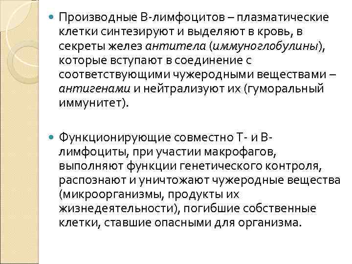  Производные В-лимфоцитов – плазматические клетки синтезируют и выделяют в кровь, в секреты желез