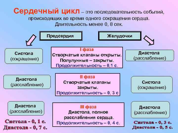 Сердечный цикл – это последовательность событий, происходящих во время одного сокращения сердца. Длительность менее