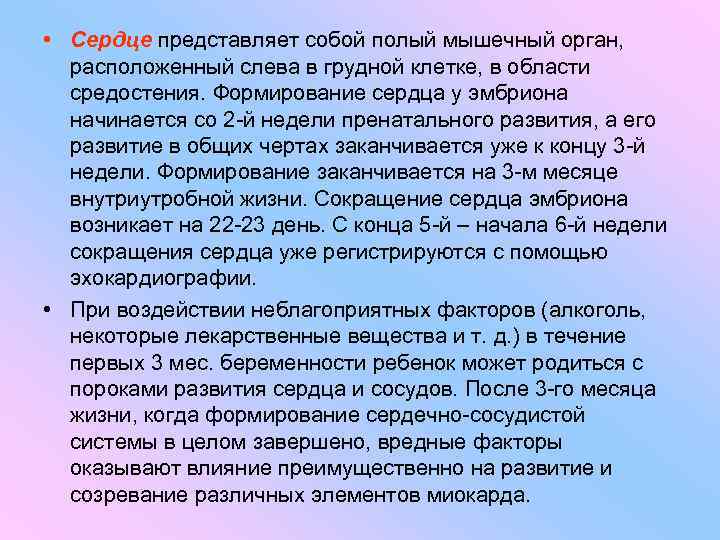  • Сердце представляет собой полый мышечный орган, расположенный слева в грудной клетке, в