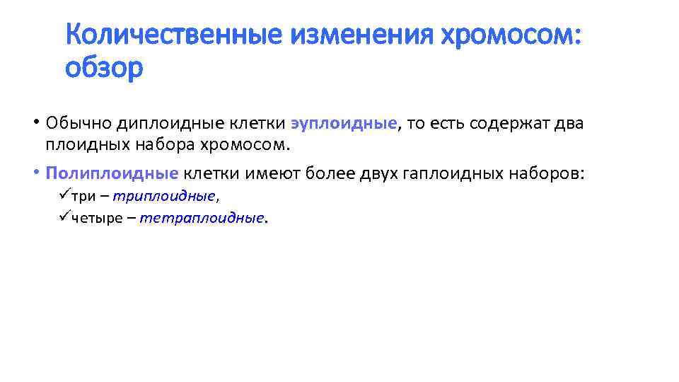 Количественные изменения хромосом: обзор • Обычно диплоидные клетки эуплоидные, то есть содержат два плоидных