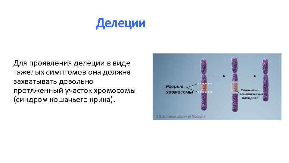 Делеции Для проявления делеции в виде тяжелых симптомов она должна захватывать довольно протяженный участок