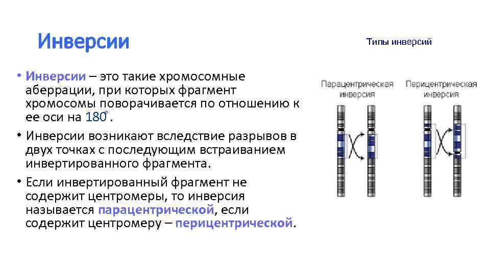 Рассмотрите фотографии хромосомных мутаций делеции инверсии дупликации