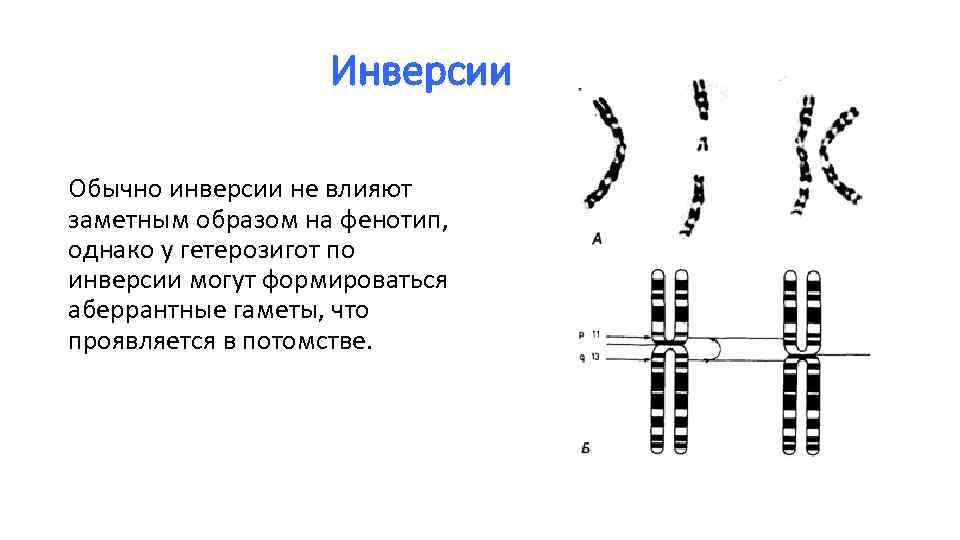 Сопоставьте рисунки и названия хромосомных мутаций