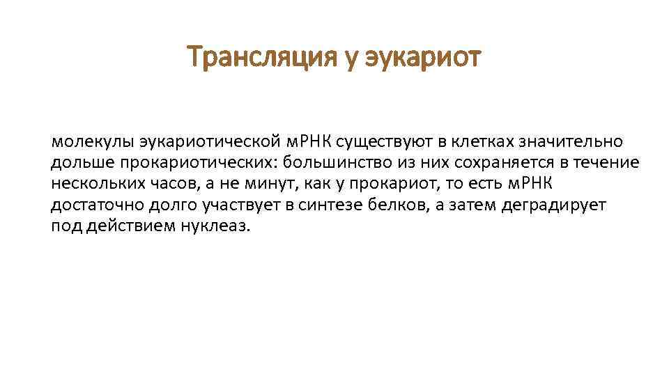 Трансляция у эукариот молекулы эукариотической м. РНК существуют в клетках значительно дольше прокариотических: большинство