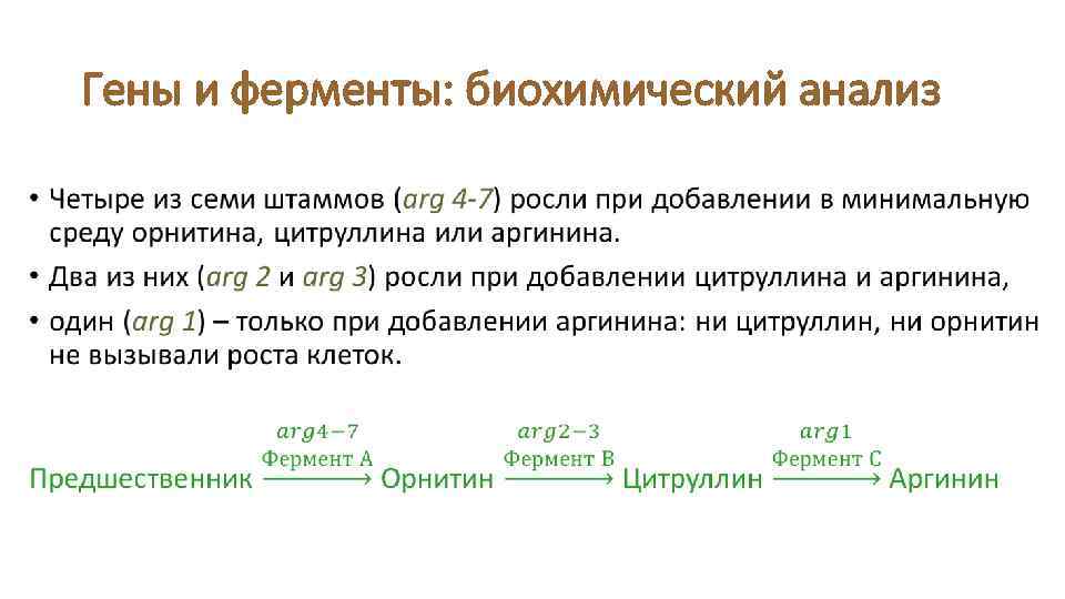 Гены и ферменты: биохимический анализ • 