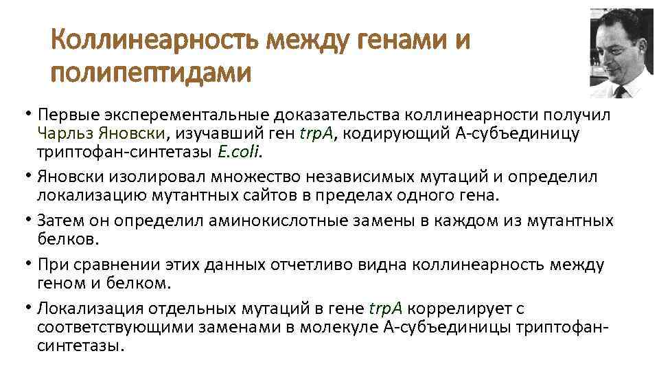 Коллинеарность между генами и полипептидами • Первые эксперементальные доказательства коллинеарности получил Чарльз Яновски, изучавший