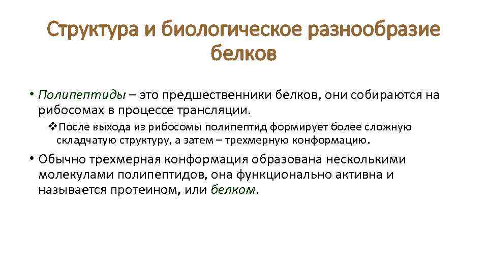Структура и биологическое разнообразие белков • Полипептиды – это предшественники белков, они собираются на