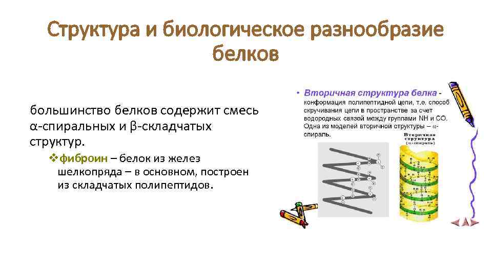 Структура и биологическое разнообразие белков большинство белков содержит смесь α-спиральных и β-складчатых структур. vфиброин