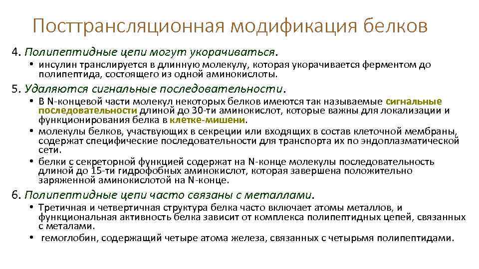 Посттрансляционная модификация белков 4. Полипептидные цепи могут укорачиваться. • инсулин транслируется в длинную молекулу,