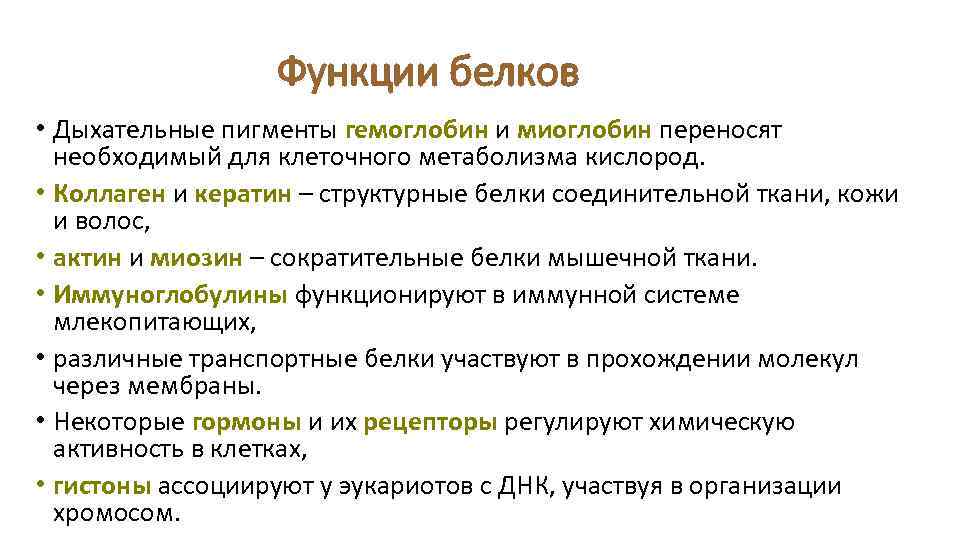 Функции белков • Дыхательные пигменты гемоглобин и миоглобин переносят необходимый для клеточного метаболизма кислород.