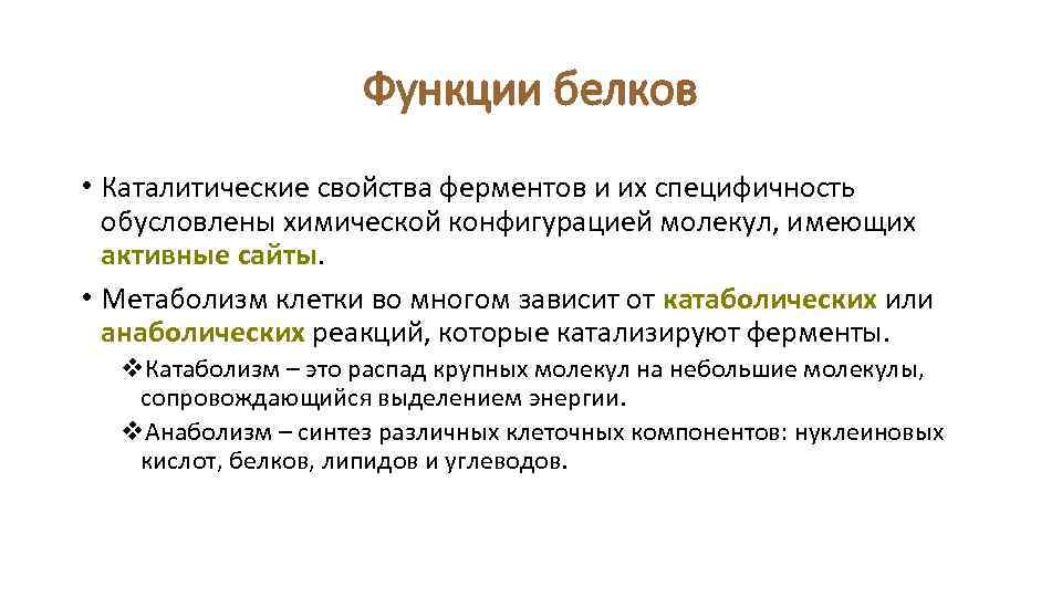 Функции белков • Каталитические свойства ферментов и их специфичность обусловлены химической конфигурацией молекул, имеющих