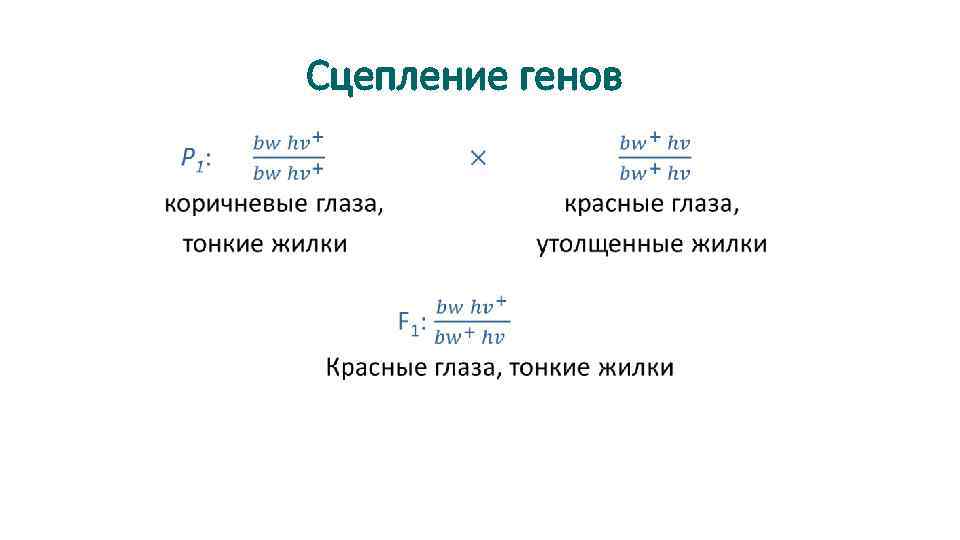 Сцепленные гены это. Сцепление генов.