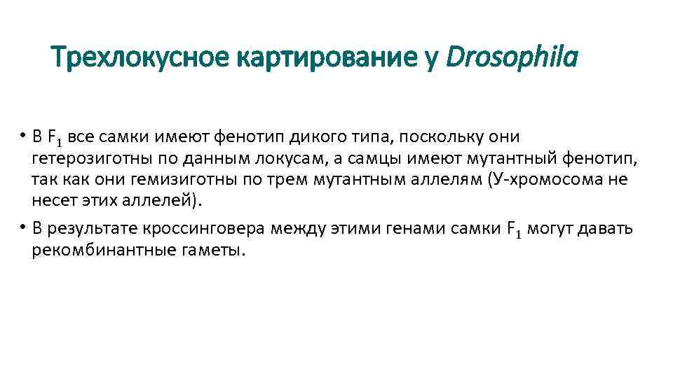 Трехлокусное картирование у Drosophila • В F 1 все самки имеют фенотип дикого типа,