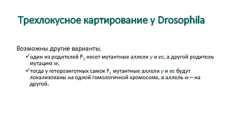 Трехлокусное картирование у Drosophila Возможны другие варианты. üодин из родителей Р 1 несет мутантные