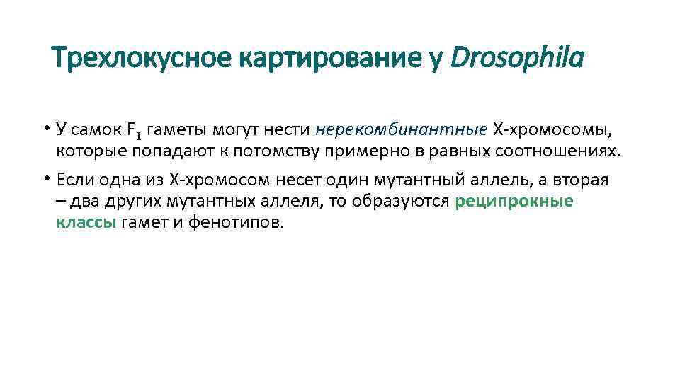 Трехлокусное картирование у Drosophila • У самок F 1 гаметы могут нести нерекомбинантные Х-хромосомы,