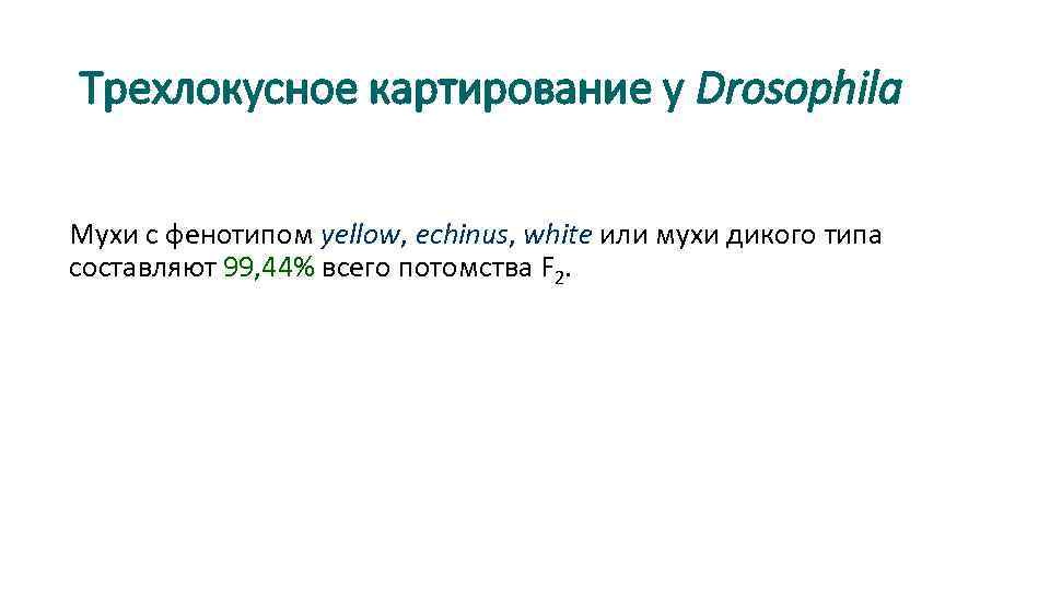 Трехлокусное картирование у Drosophila Мухи с фенотипом yellow, echinus, white или мухи дикого типа