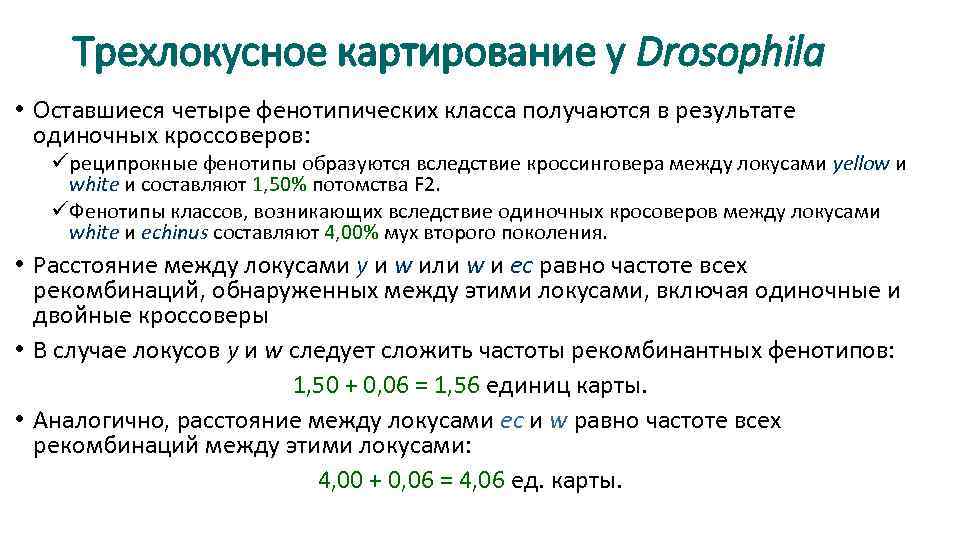 Трехлокусное картирование у Drosophila • Оставшиеся четыре фенотипических класса получаются в результате одиночных кроссоверов: