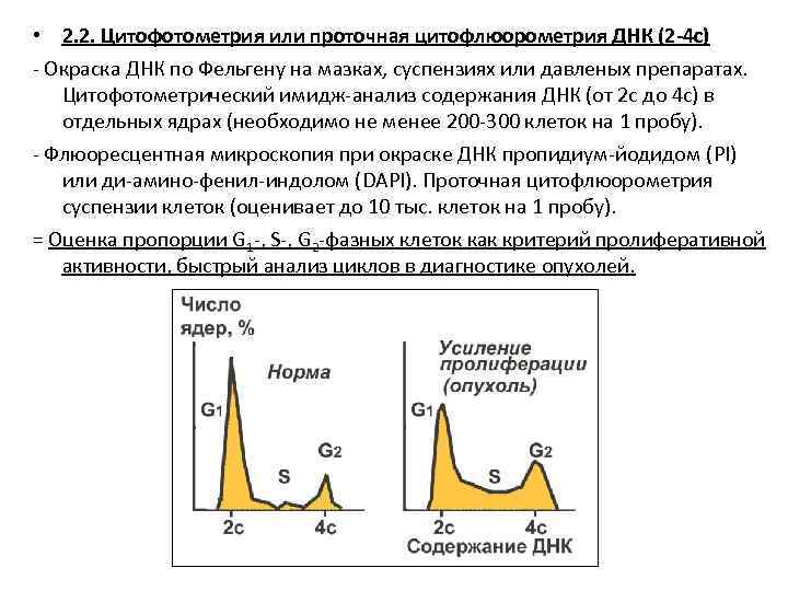  • 2. 2. Цитофотометрия или проточная цитофлюорометрия ДНК (2 -4 с) - Окраска