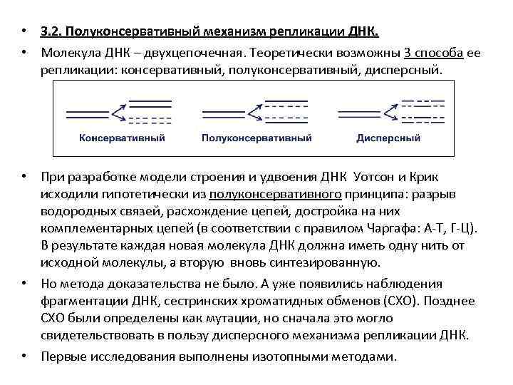  • 3. 2. Полуконсервативный механизм репликации ДНК. • Молекула ДНК – двухцепочечная. Теоретически