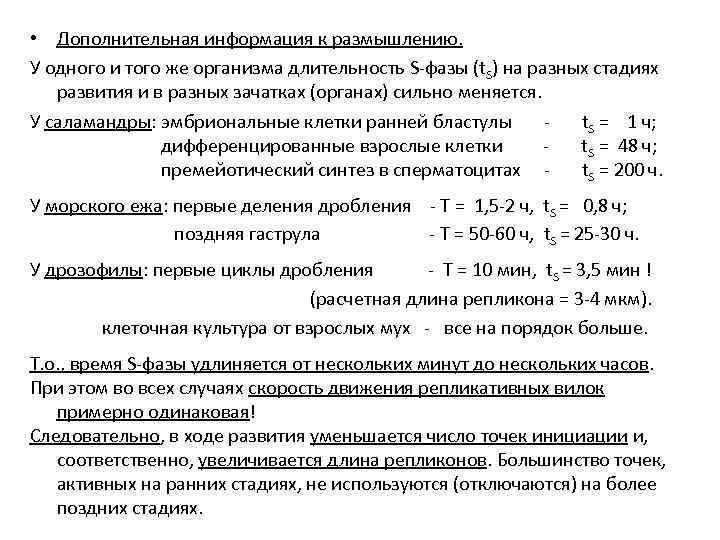  • Дополнительная информация к размышлению. У одного и того же организма длительность S-фазы