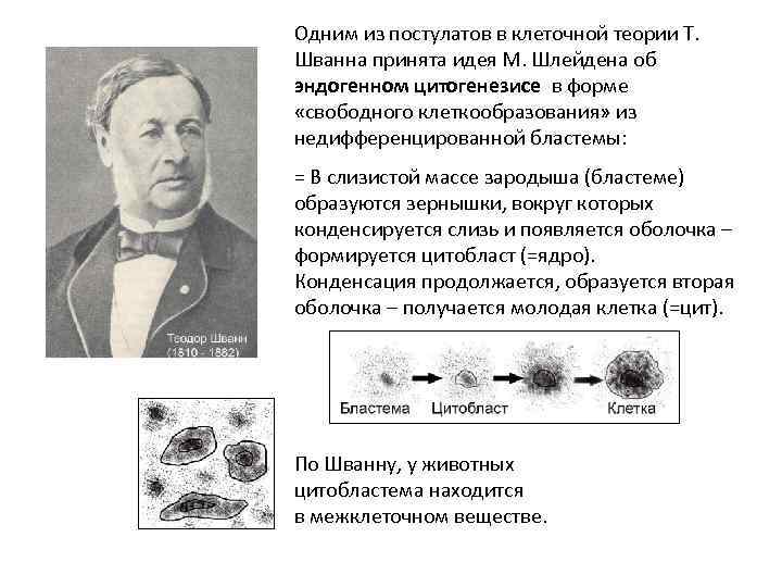 Создатели клеточной теории