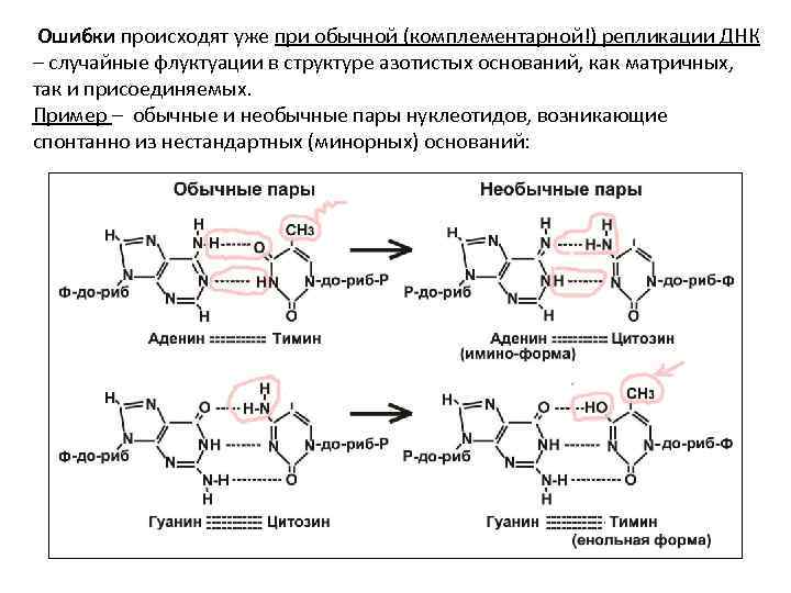  Ошибки происходят уже при обычной (комплементарной!) репликации ДНК – случайные флуктуации в структуре