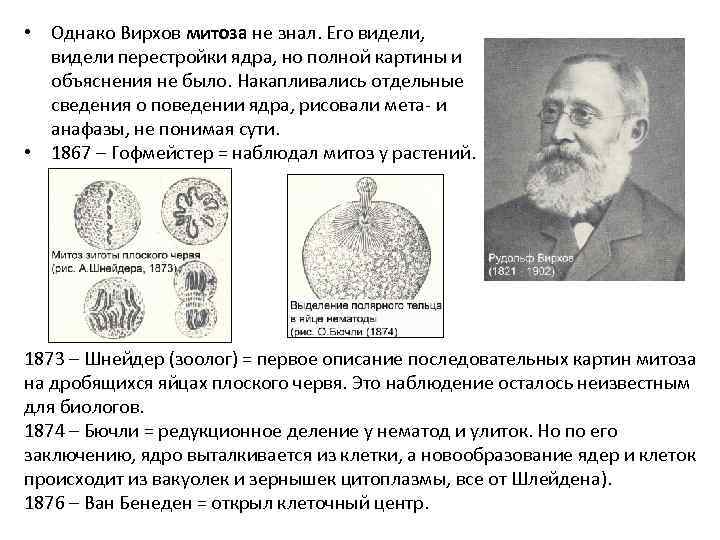 • Однако Вирхов митоза не знал. Его видели, видели перестройки ядра, но полной