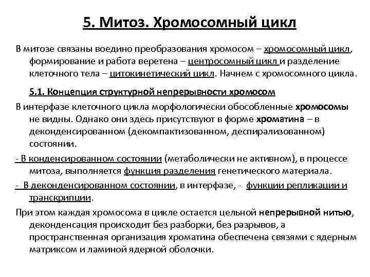 5. Митоз. Хромосомный цикл В митозе связаны воедино преобразования хромосом – хромосомный цикл, формирование