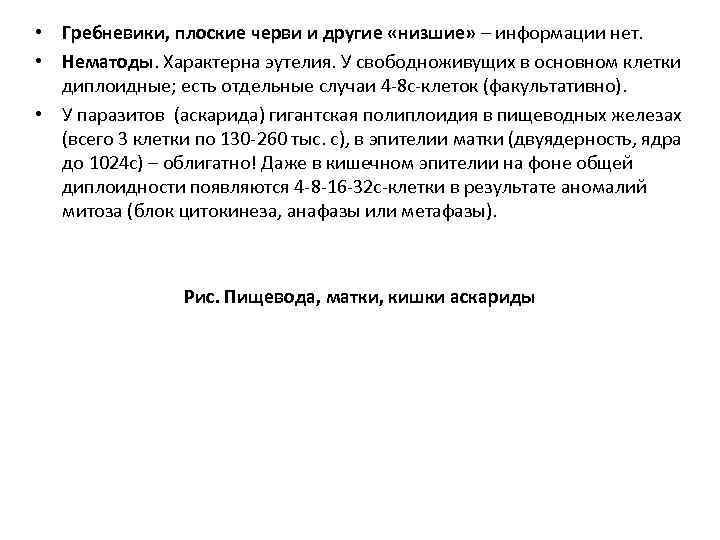  • Гребневики, плоские черви и другие «низшие» – информации нет. • Нематоды. Характерна