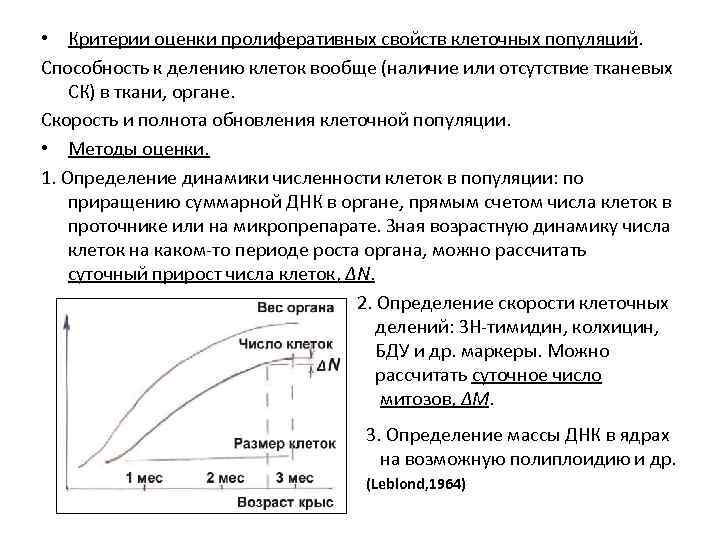  • Критерии оценки пролиферативных свойств клеточных популяций. Способность к делению клеток вообще (наличие