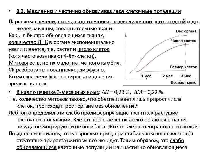  • 3. 2. Медленно и частично обновляющиеся клеточные популяции Паренхима печени, почек, надпочечника,