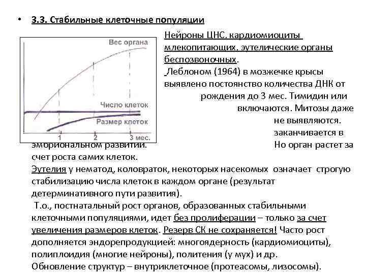  • 3. 3. Стабильные клеточные популяции Нейроны ЦНС, кардиомиоциты млекопитающих, эутелические органы беспозвоночных.