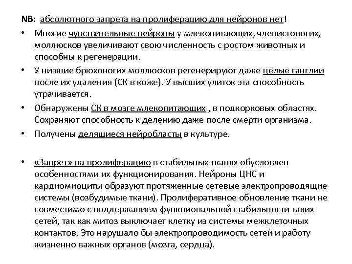 NB: абсолютного запрета на пролиферацию для нейронов нет! • Многие чувствительные нейроны у млекопитающих,