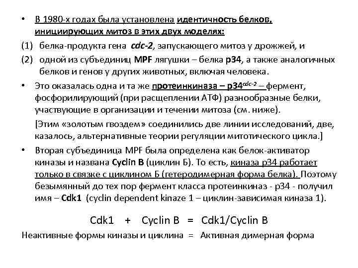  • В 1980 -х годах была установлена идентичность белков, инициирующих митоз в этих
