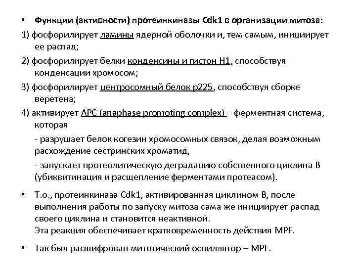  • Функции (активности) протеинкиназы Cdk 1 в организации митоза: 1) фосфорилирует ламины ядерной