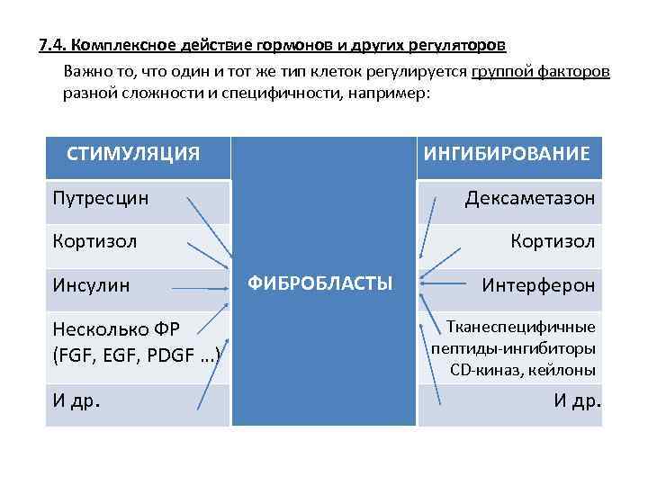 7. 4. Комплексное действие гормонов и других регуляторов Важно то, что один и тот