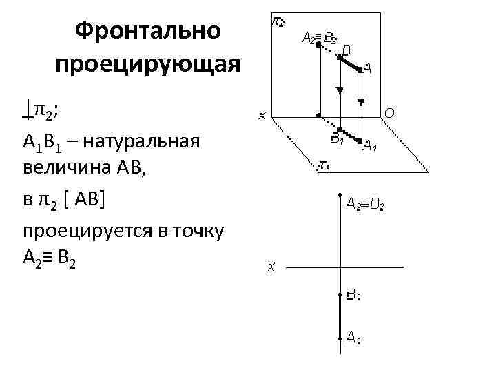 Фронтально проецирующая │π2; A 1 B 1 – натуральная величина AB, в π2 [