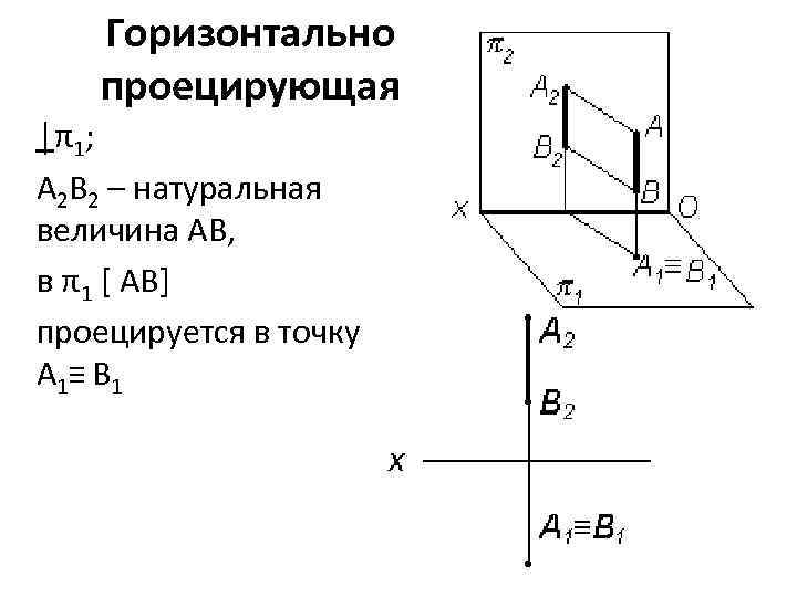 Горизонтально проецирующая │π1; A 2 B 2 – натуральная величина AB, в π1 [