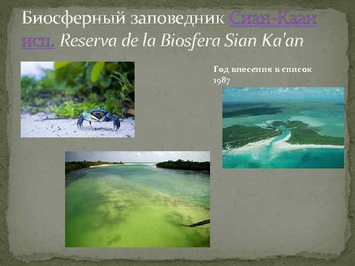 Биосферный заповедник Сиан-Каан исп. Reserva de la Biosfera Sian Ka'an Год внесения в список